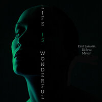 Emil Lassaria - I Give You Love