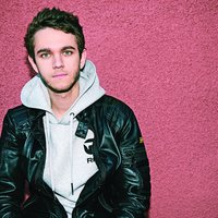 Zedd feat. Maren Morris & BEAUZ - Make You Say