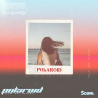 Vlln feat. Sol Novaro - Polaroid