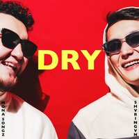 Shvringvn feat. Mona Songz - Dry