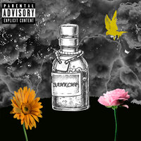 SIlN - Эликсир