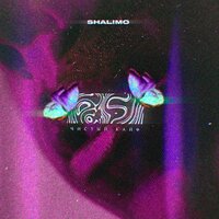 Shalimo - Чистый Кайф