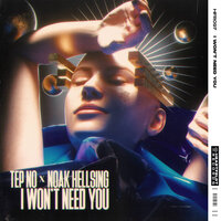 Tep No feat. Noak Hellsing - I Won’t Need You