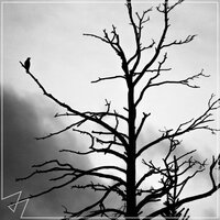 Madilyn Bailey - Unholy