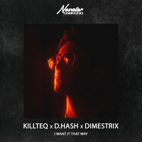 Killteq & D.Hash feat. DIMESTRIX - I Want It That Way