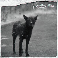 Угол Зрения - Январь