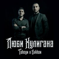Evkhan & TAHEYN - Люби Хулигана