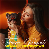 Zhao feat. Florian Rus - Te-am Pupat