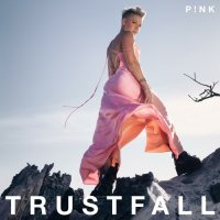 Pink - Lost Cause