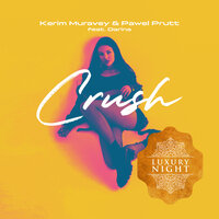 Kerim Muravey & Pawel Prutt feat. Darina - Crush