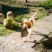 Bakermat feat. Rhys Lewis - Good Feeling