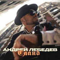 Андрей Лебедев - Слайд