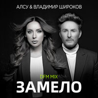Алсу feat. Владимир Широков - Замело (DFM Mix)