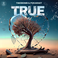 Tim3bomb feat. Pokaraet - True