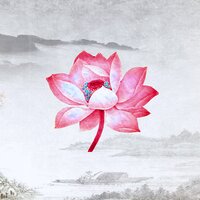 Глеб Калюжный & Shakh - Раскройся