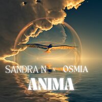 Sandra N feat. Osmia - Anima