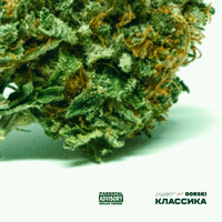 Ляминор feat. Gorski - Классика