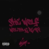 2Scratch feat. Lionaire - She Wolf