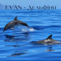 Evan - Дельфіни