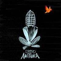 DREVO - Ластівка