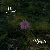 ILZE - Цветы