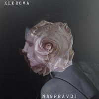 K.E.D.R.O.V.A - Вечр