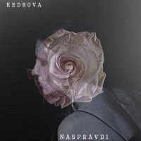 K.E.D.R.O.V.A - Glybyna