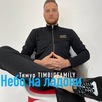 Тимур TimBigFamily - Небо На Ладони