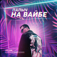 Палыч - На Вайбе