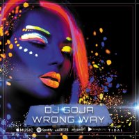 Dj Goja - Wrong Way