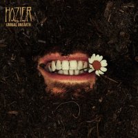 Hozier feat. Brandi Carlile - Damage Gets Done