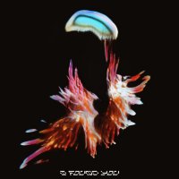 Sub Focus feat. Hayla - I Found You (Prospa Remix)