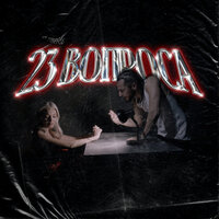 Аш 23 - 23 Вопроса