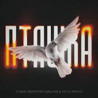 Софія Нерсесян - Пташка (Malyar & 2K DJ Remix)