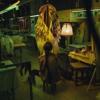 Nataliia Shevchenko - Птахи