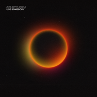 Zerb feat. Sophia Stedile - Use Somebody
