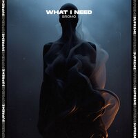 Bromo - What I Need