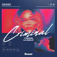 Twinns feat. Le Boeuf - Criminal