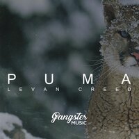 LEVAN CREED - Puma
