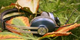 Осеннее настроение