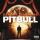 Pitbull feat. Christina Aguilera - Feel This Moment