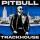 Pitbull & Vikina - It Takes 3