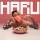 HARU - Шип