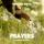Edward Maya - Prayers