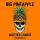 Big Pineapple - Another Chance (Don Diablo Chill Mix)