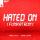 Gabry Ponte feat. Robbie Rivera - Hated On (Funkatron)