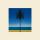 Metronomy - The Look